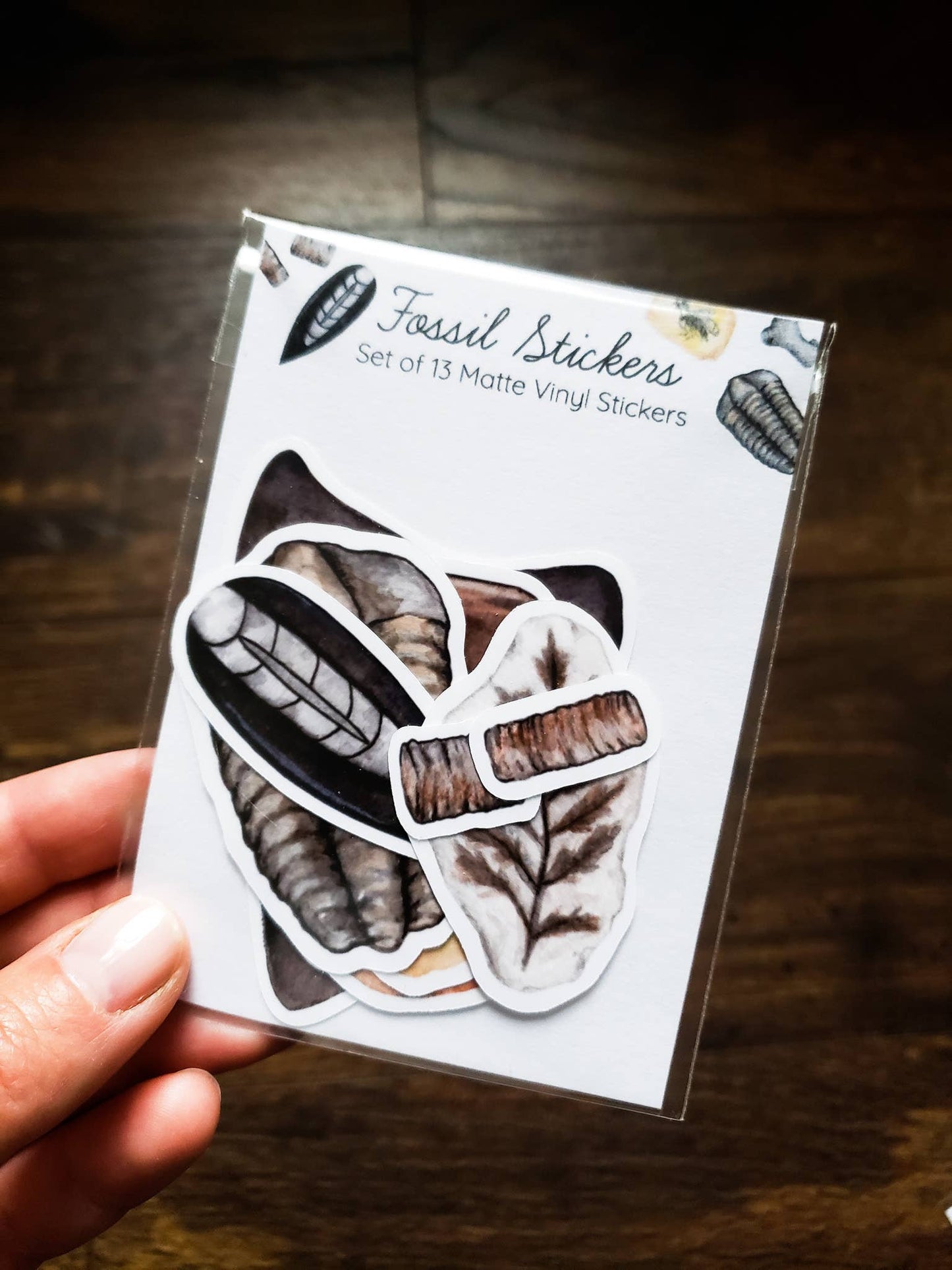 Pack of fossil stickers being held by a hand.
