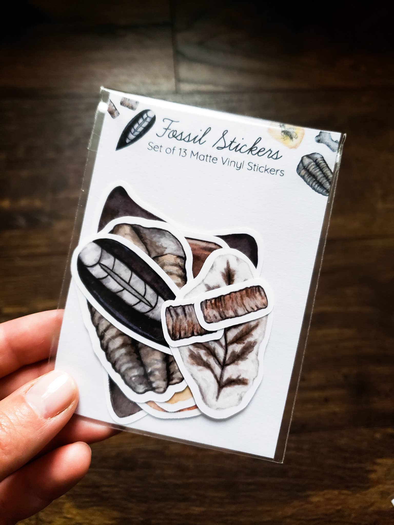 Pack of fossil stickers being held by a hand.