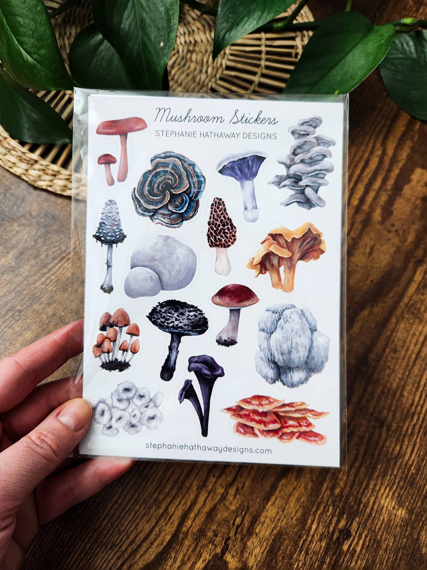 Sheet of Stephanie Hathaway Designs mushroom stickers held in front of a plant.