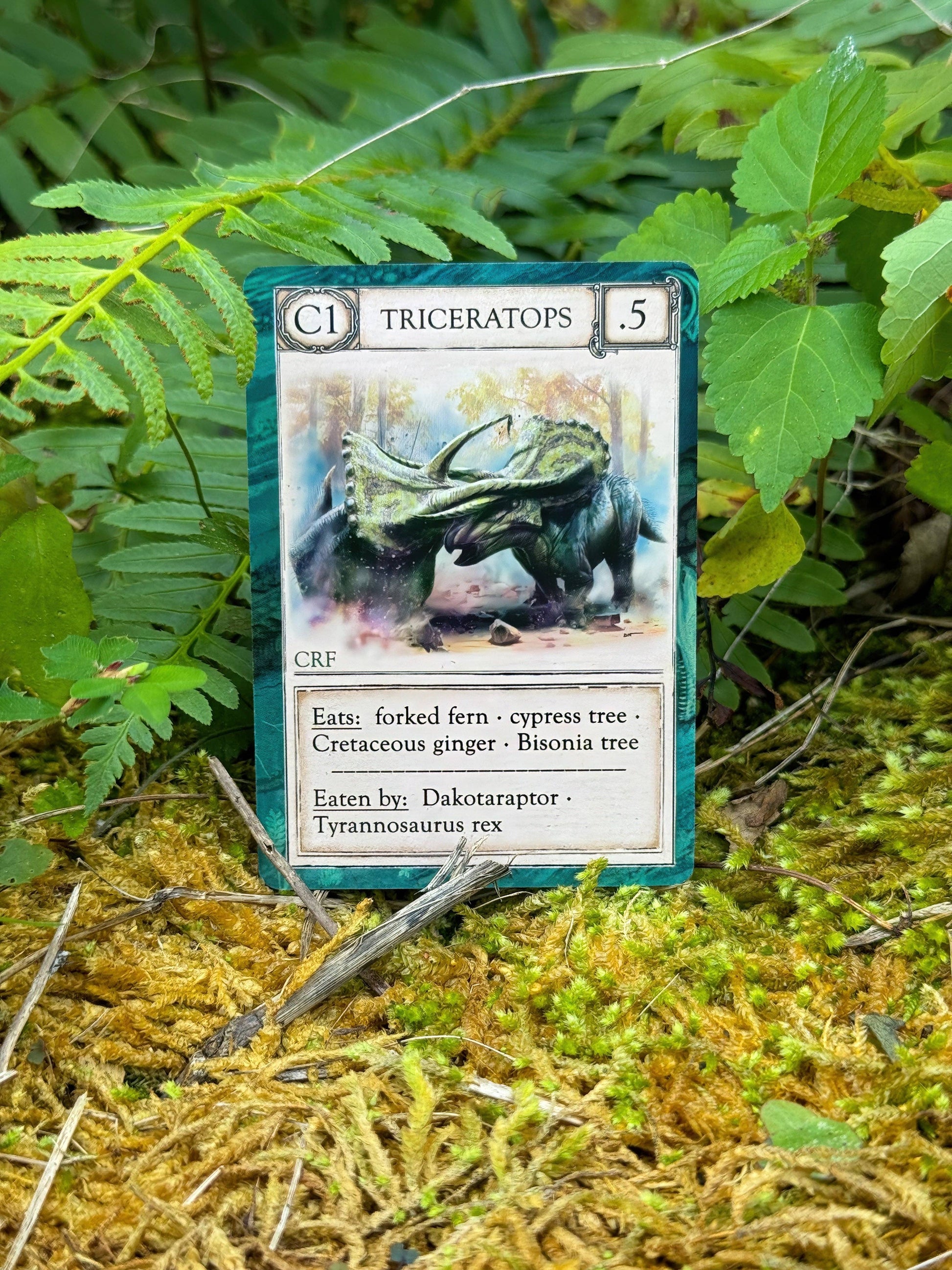 A playing card from *Ecologies: Ancient Areas* featuring a Triceratops illustration is propped up among green ferns and moss on a forest floor. As part of this ancient food web game, the card details what Triceratops eats and what preys on it, providing insight into long-extinct ecosystems.