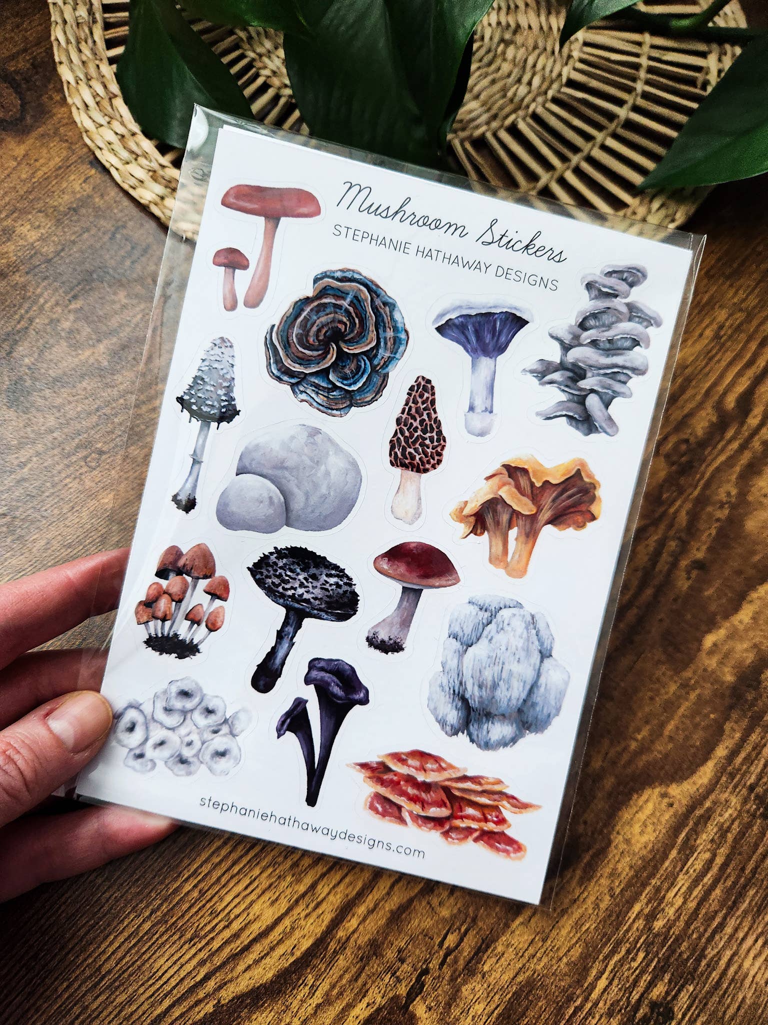 Sheet of Stephanie Hathaway mushroom stickers held by a hand.