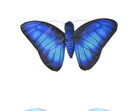 A vibrant blue butterfly with black-edged wings and small red spots, displayed on a white background—perfectly capturing the charm of the Butterfly Blue Morpho Stuffed Animal Finger Puppet.