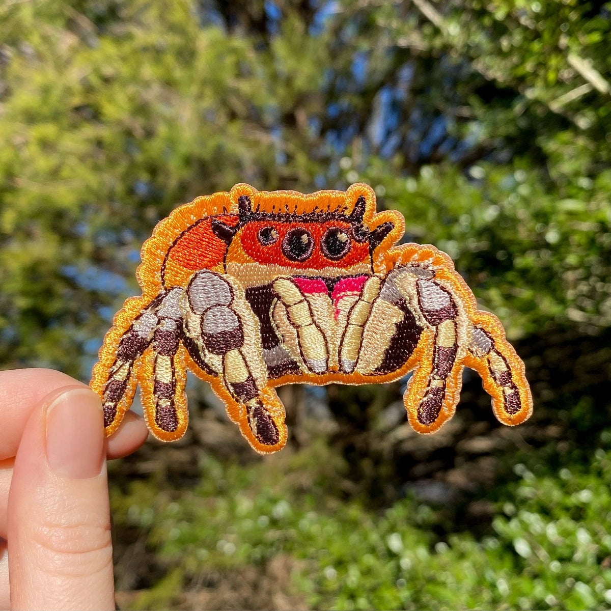 A hand holds a Regal Jumping Spider iron-on embroidered patch with an orange body, black eyes, and tan and brown legs.