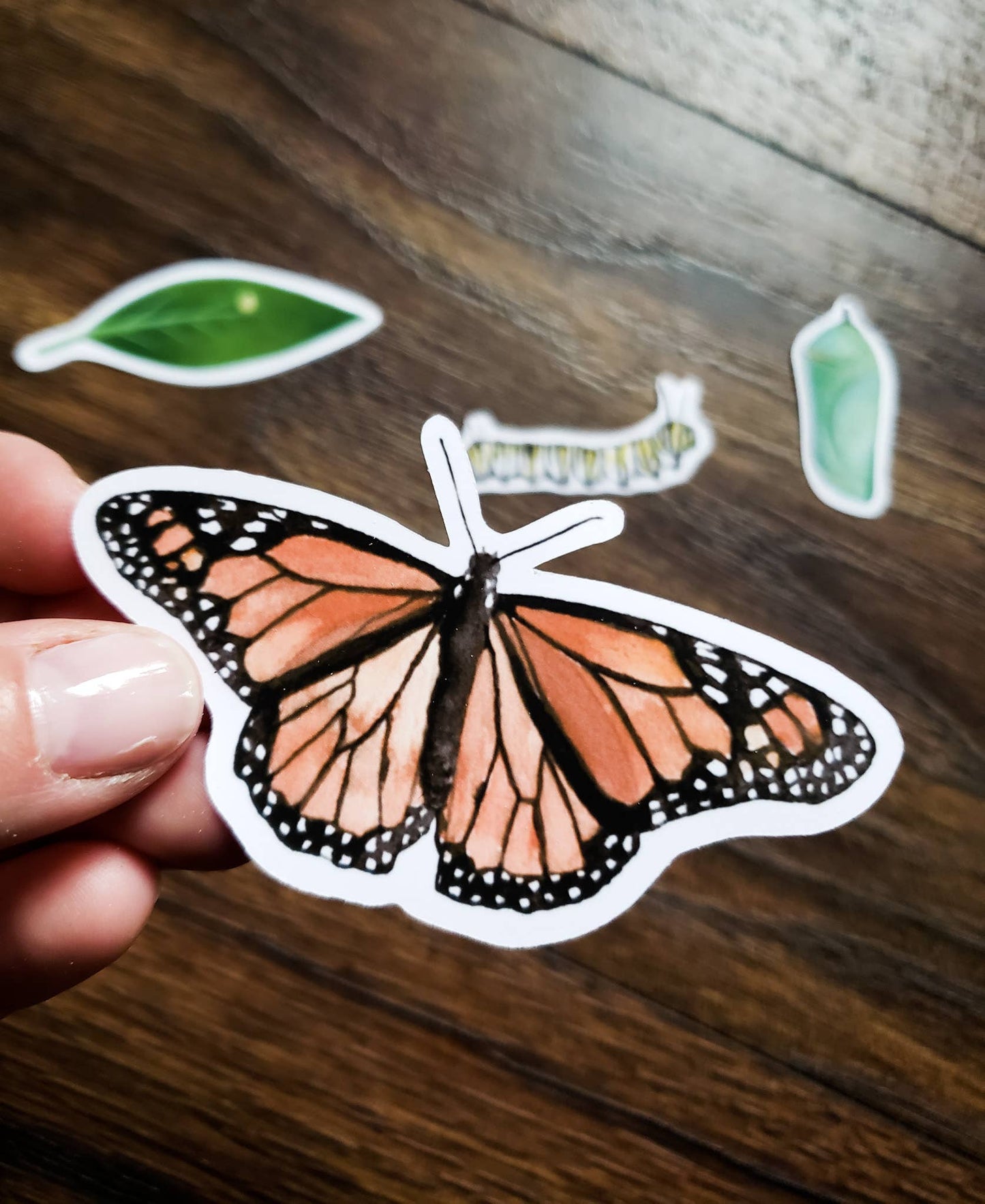 Butterfly sticker held by a hand (other stickers in background).