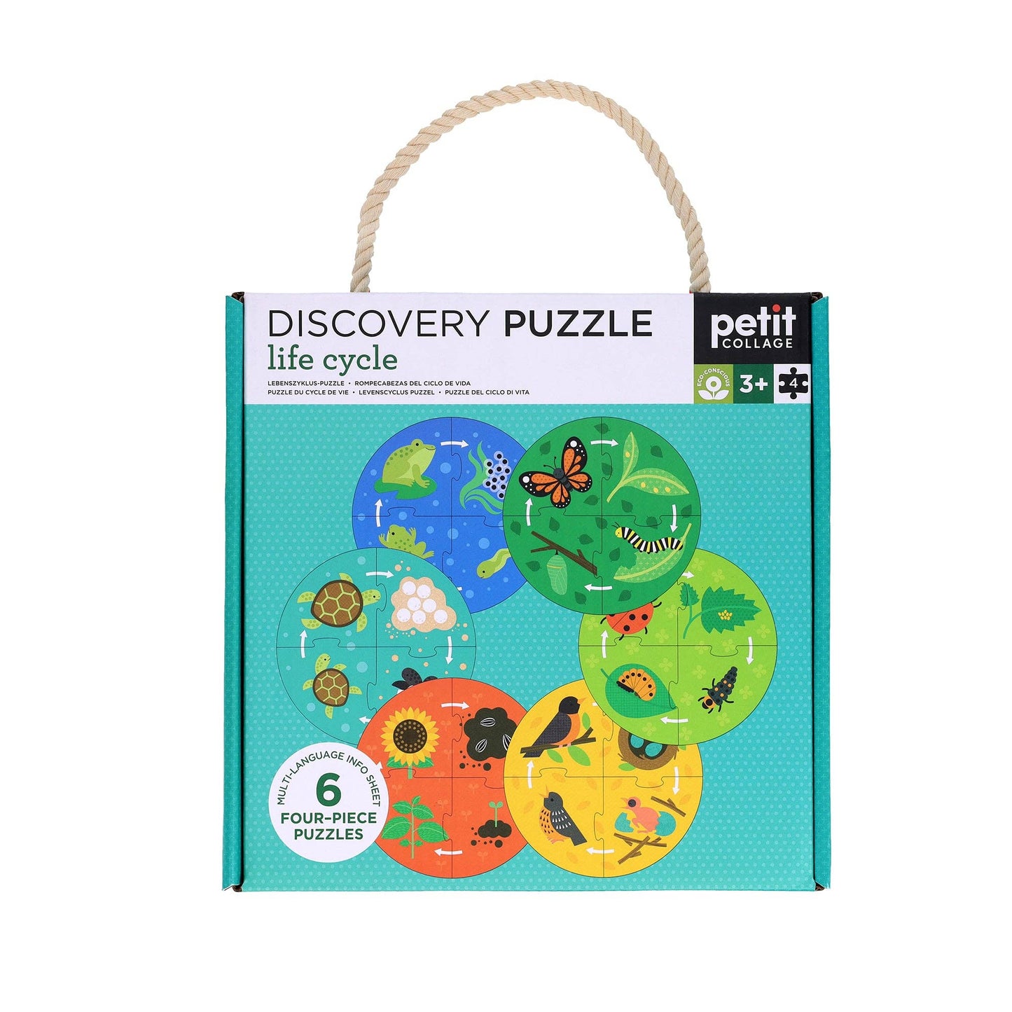 Life Cycle Discovery Puzzle