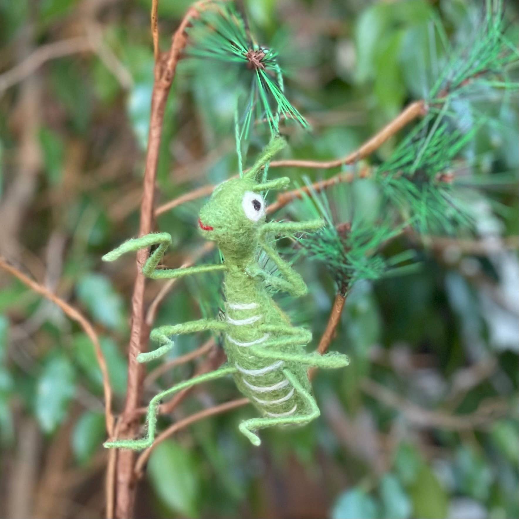 The Praying Mantis Felt Ornament is a green, needle-felted wool insect with white details, hanging from a branch with needles—an enchanting handmade decoration ideal for any garden center gift shop.