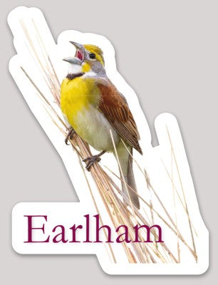 Bring charm to any sticker collection with Earlham Birder Stickers, 3x3″. Featuring an illustration of a yellow and brown bird perched on tall grass, singing, with “Earlham” in purple text below. Perfect for creating vibrant 3x3″ stickers!.