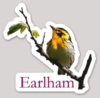 The Earlham Birder Stickers, 3x3″, feature a vibrant vinyl design of a yellow and black bird perched on a branch with green leaves, with “Earlham” written below in maroon text.