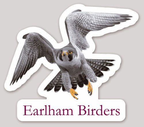 Falcon sticker with 'Earlham Birders' text on a gray background