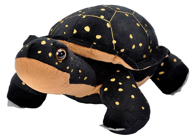 The CK Spotted Turtle Stuffed Animal 12" features a black body, tan underside, and yellow spots on its shell and head—ideal for fans of realistic plush toys. Displayed on a white background.
