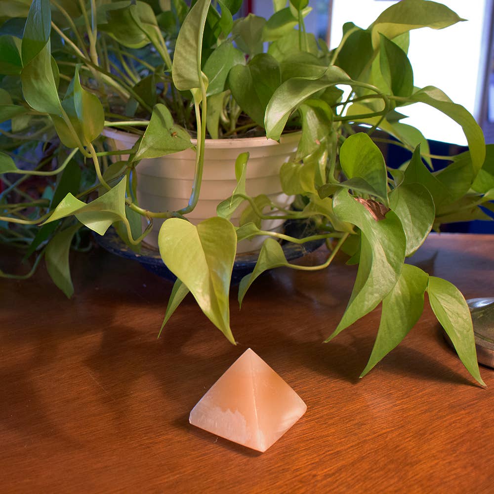 A leafy green houseplant in a white pot sits on a wooden table. In front of it is the Alabaster Pyramid - Small 2.25″, which is handmade and made in Egypt.
