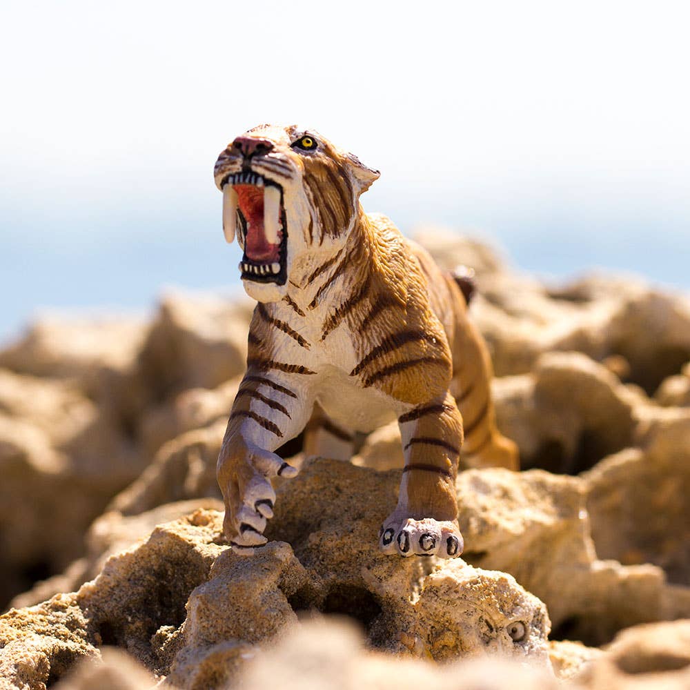 A Smilodon Saber-Toothed Cat Figurine Toy, crafted from plastic and featuring an open-mouthed roar, stands on rugged rocky terrain against a bright, blurred background.