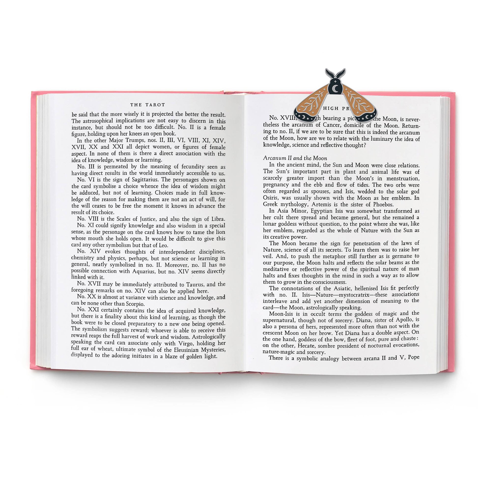 Open book with a moth-shaped bookmark in it