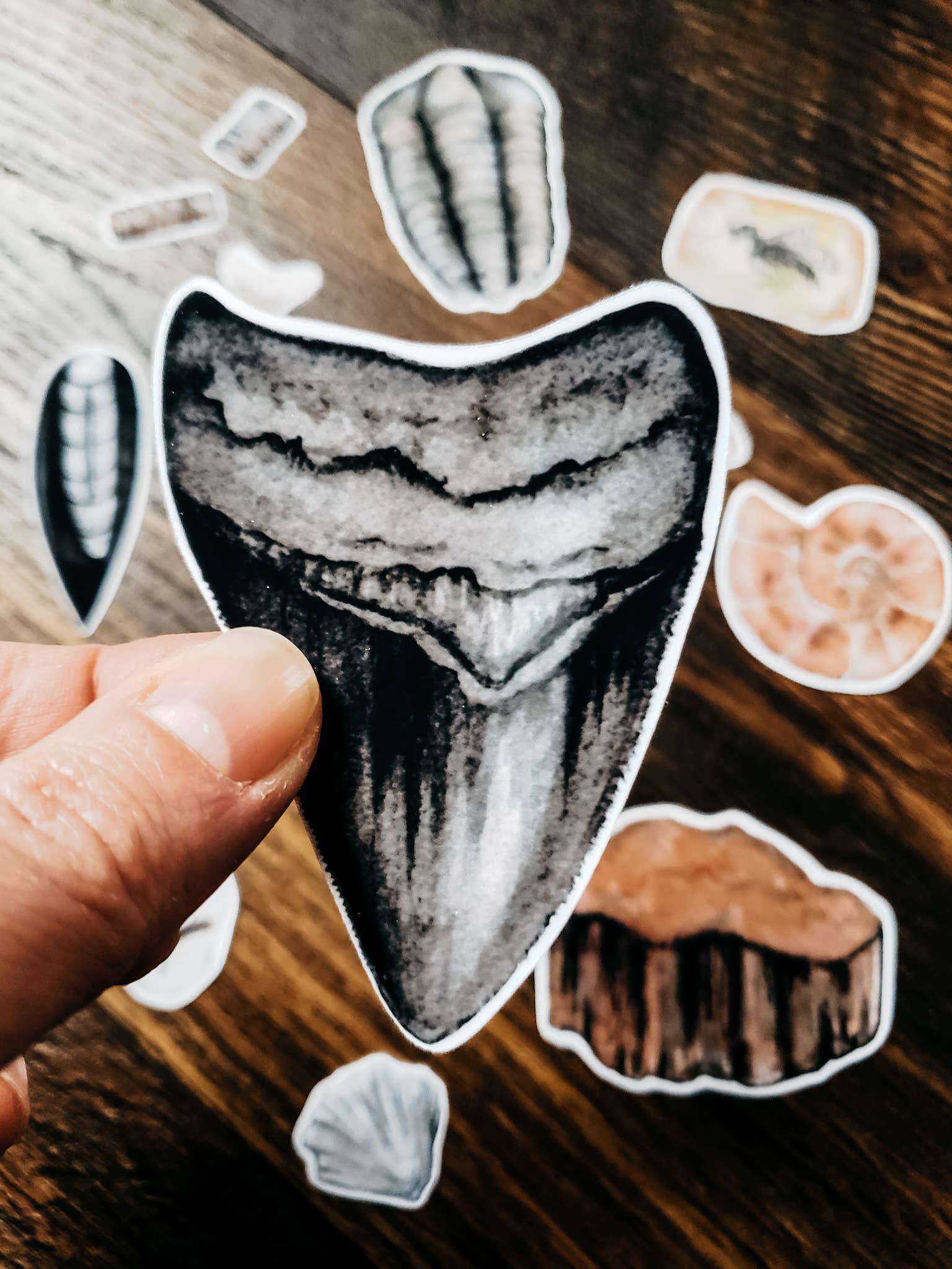 Hand holding a black and white shark tooth sticker above a surface with other stickers.