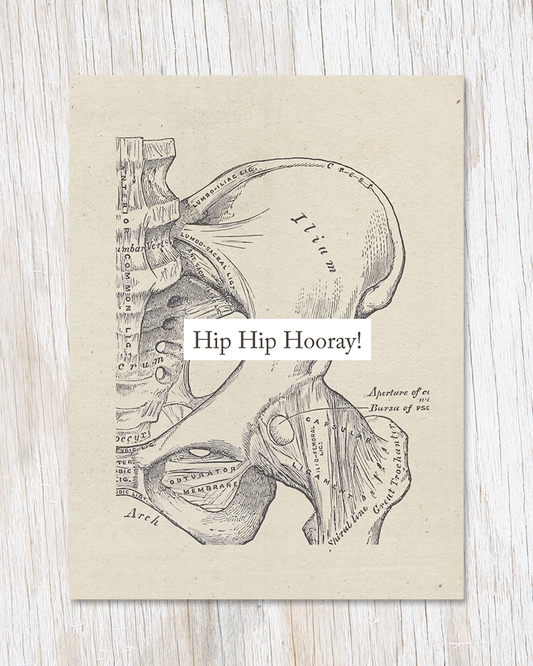 Greeting card with a medical illustration of a pelvis.