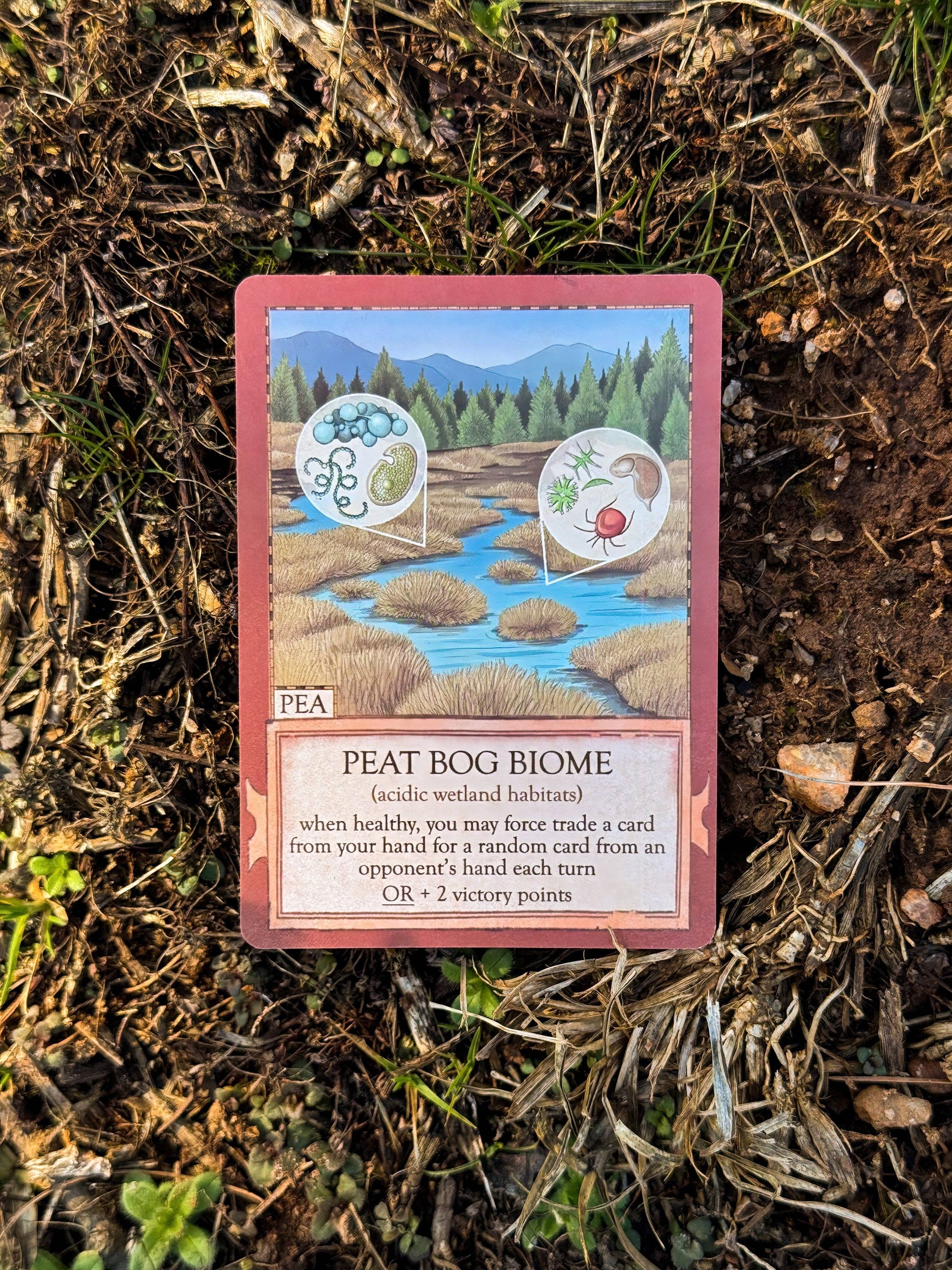 A card titled Ecologies: Marvelous Microbes rests on grassy soil, displaying a wetland scene with icons representing microbes and insects, emphasizing microscopic food webs, and featuring game text about trading cards or earning victory points.