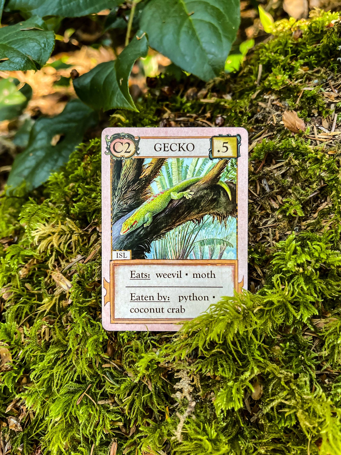 Ecologies: Hidden Habitats Card Game