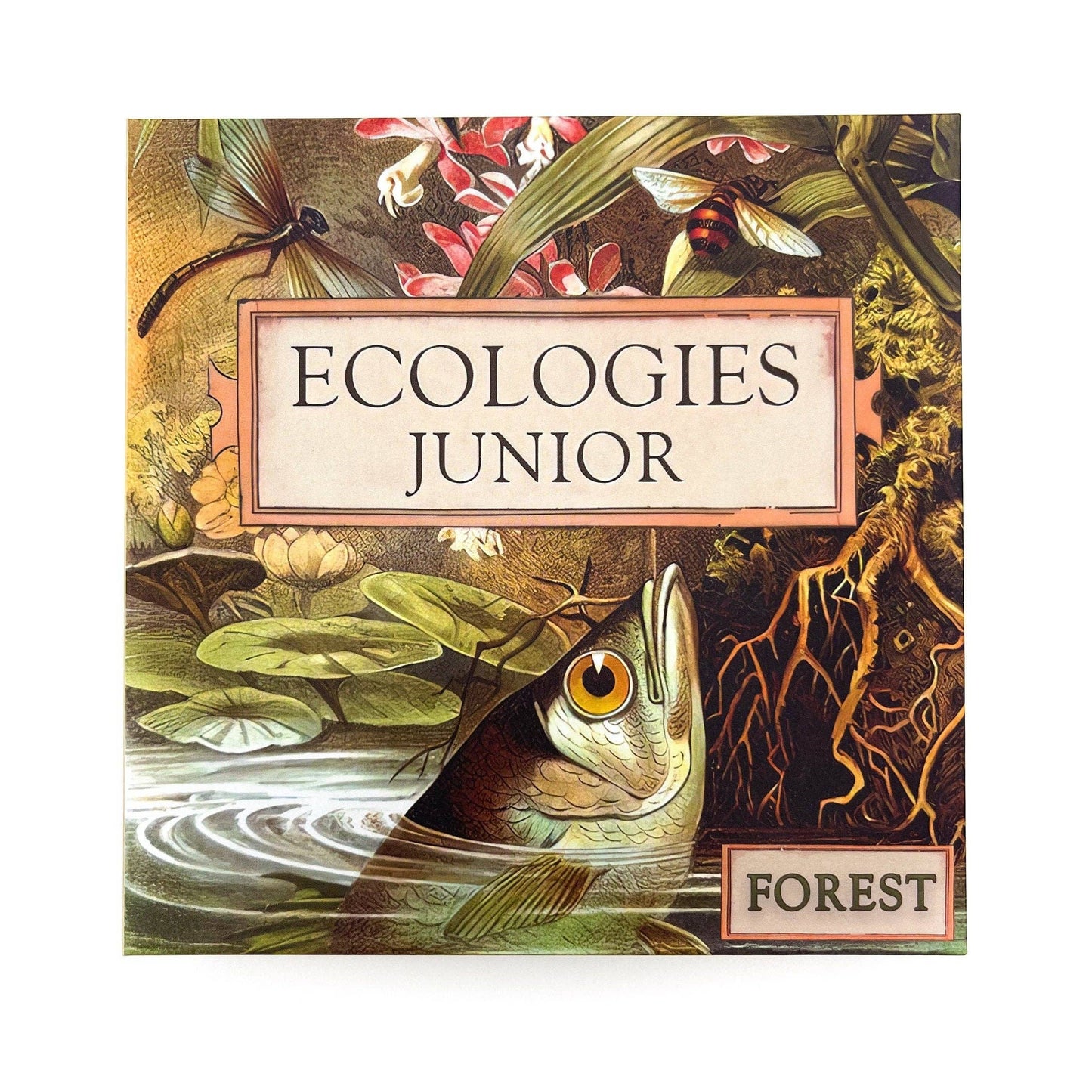 Ecologies Junior: Forest