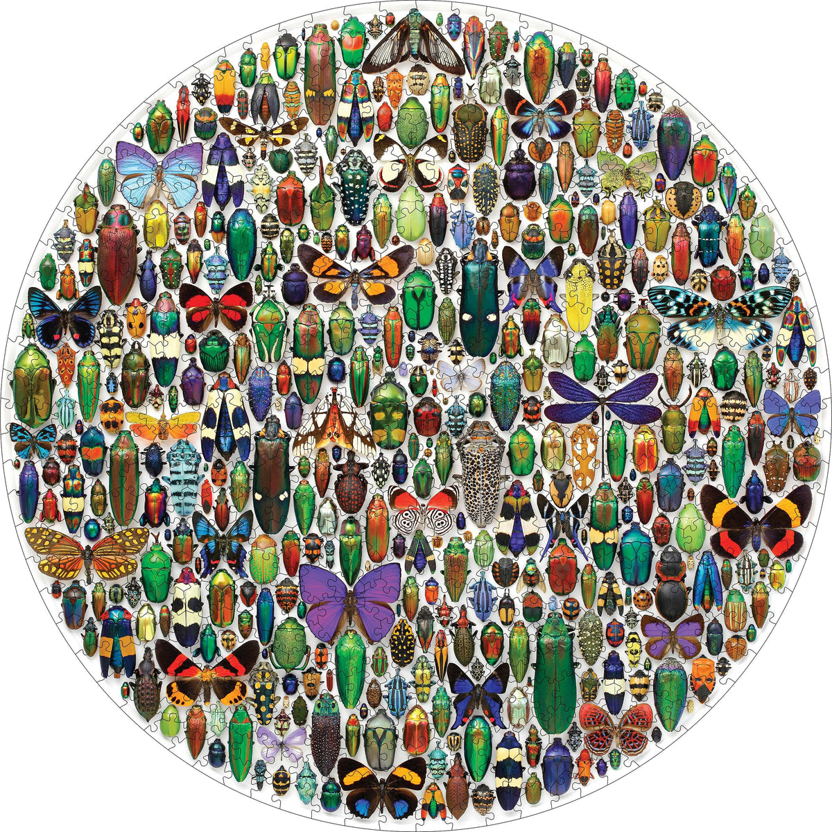 A Christopher Marley: Macrocosm 500pc Circular Puzzle featuring a vibrant, dense collection of assorted beetles, butterflies, and insects in a colorful biophilic display.