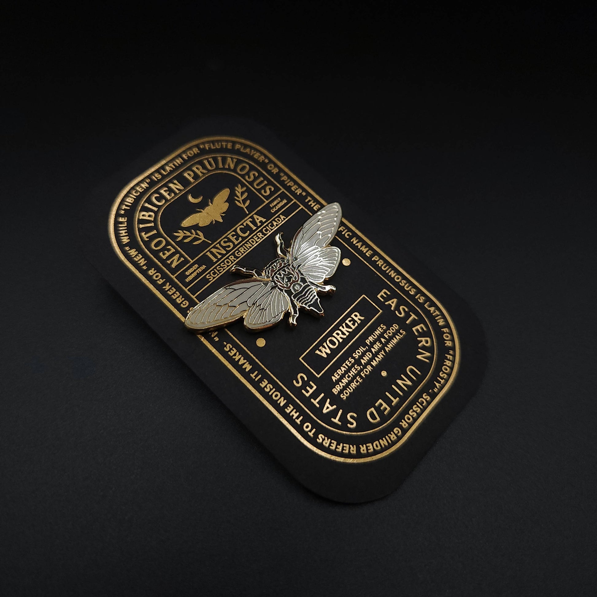 A detailed hard enamel Scissor Grinder Cicada educational insect pin rests on a black and gold display card labeled “INSECTA,” “Worker,” and “Eastern United States,” with ornate decorative text and botanical illustrations surrounding the design—an ideal entomology gift for nature enthusiasts.