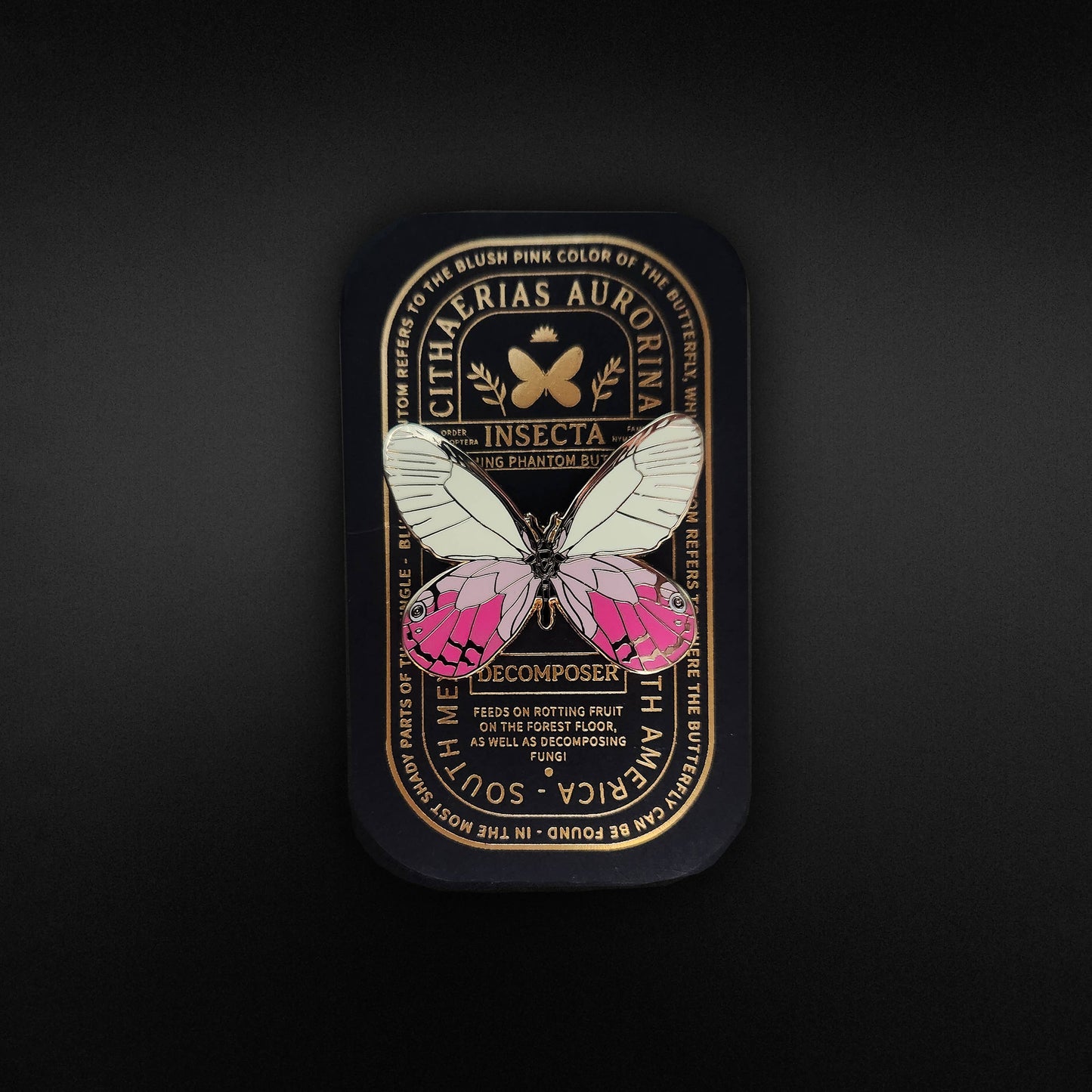 A decorative tin with gold writing, featuring a large white and pink butterfly illustration in the center against a dark background with ornate, vintage-style text—perfect for displaying your Blushing Phantom Butterfly Educational Insect Enamel Pin or any rare butterfly pin in your collection.
