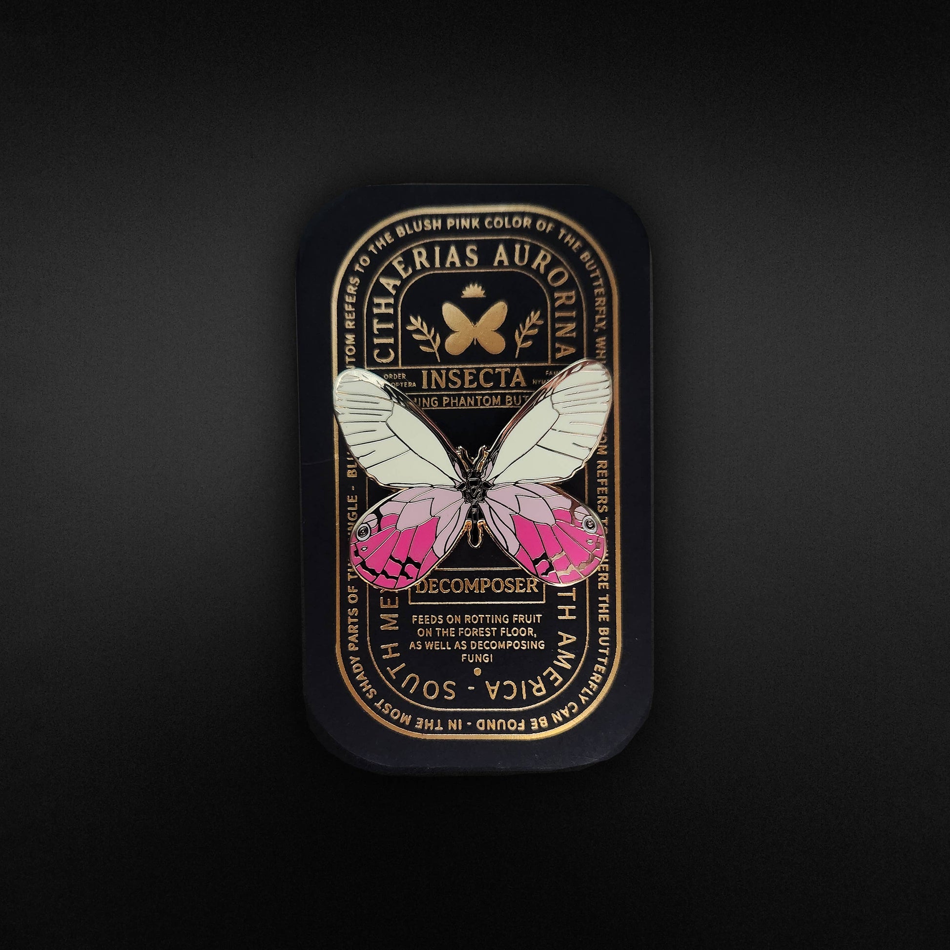 A decorative tin with gold writing, featuring a large white and pink butterfly illustration in the center against a dark background with ornate, vintage-style text—perfect for displaying your Blushing Phantom Butterfly Educational Insect Enamel Pin or any rare butterfly pin in your collection.
