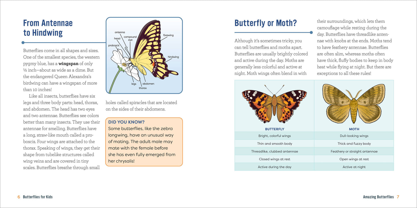 Butterflies for Kids