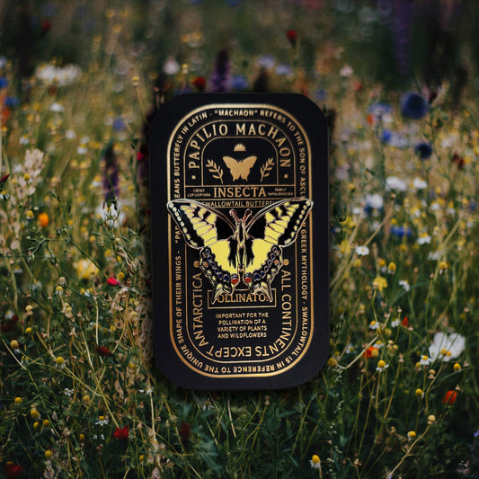 A labeled illustration of a Swallowtail butterfly (Papilio machaon) with detailed text overlay, displayed over a softly blurred wildflower meadow—an ideal inspiration for the Swallowtail Butterfly Educational Insect Enamel Pin and a thoughtful butterfly-themed gift for any nature enthusiast or enamel pin collector.