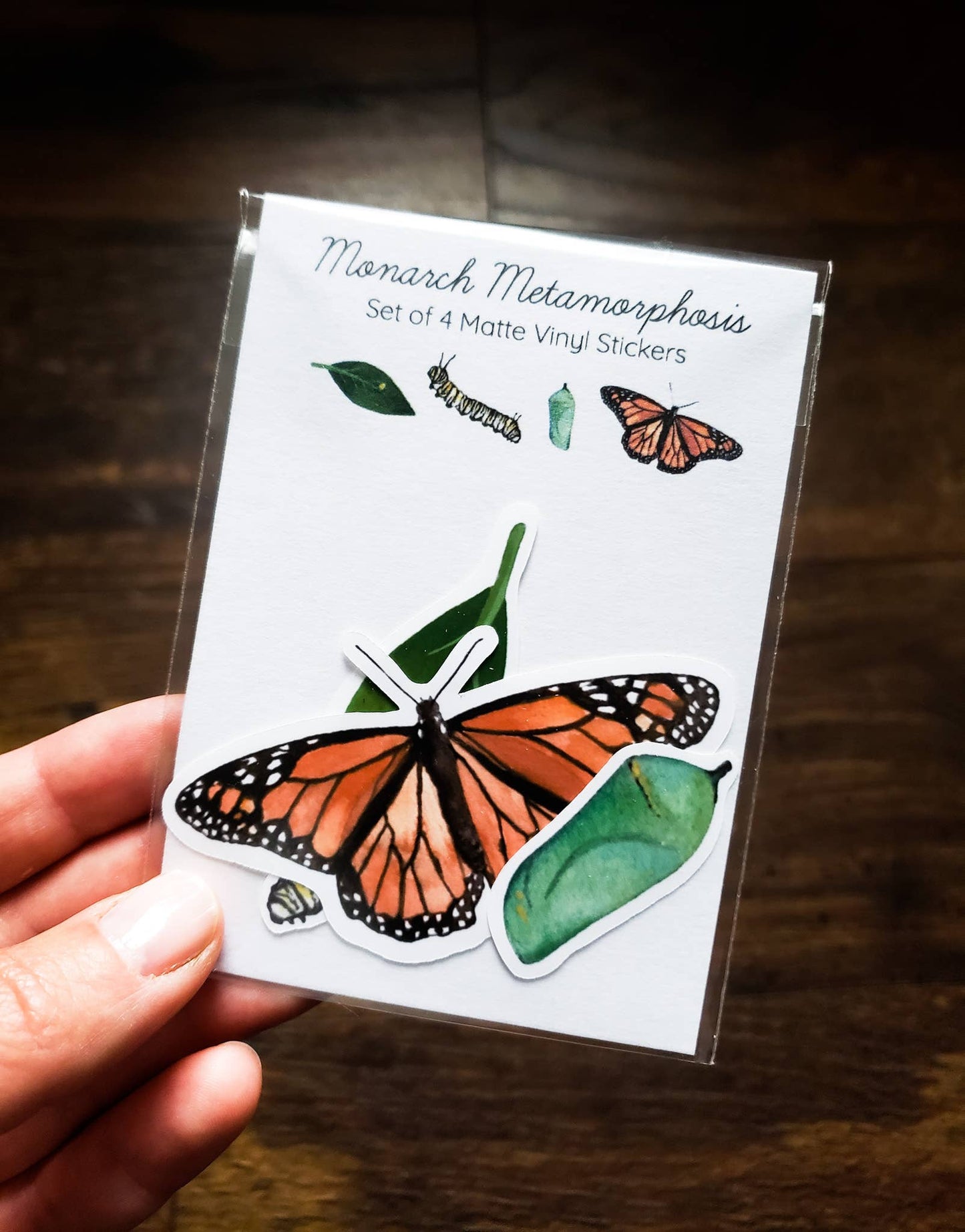 Hand holding a pack of 4 butterfly themed vinyl stickers.