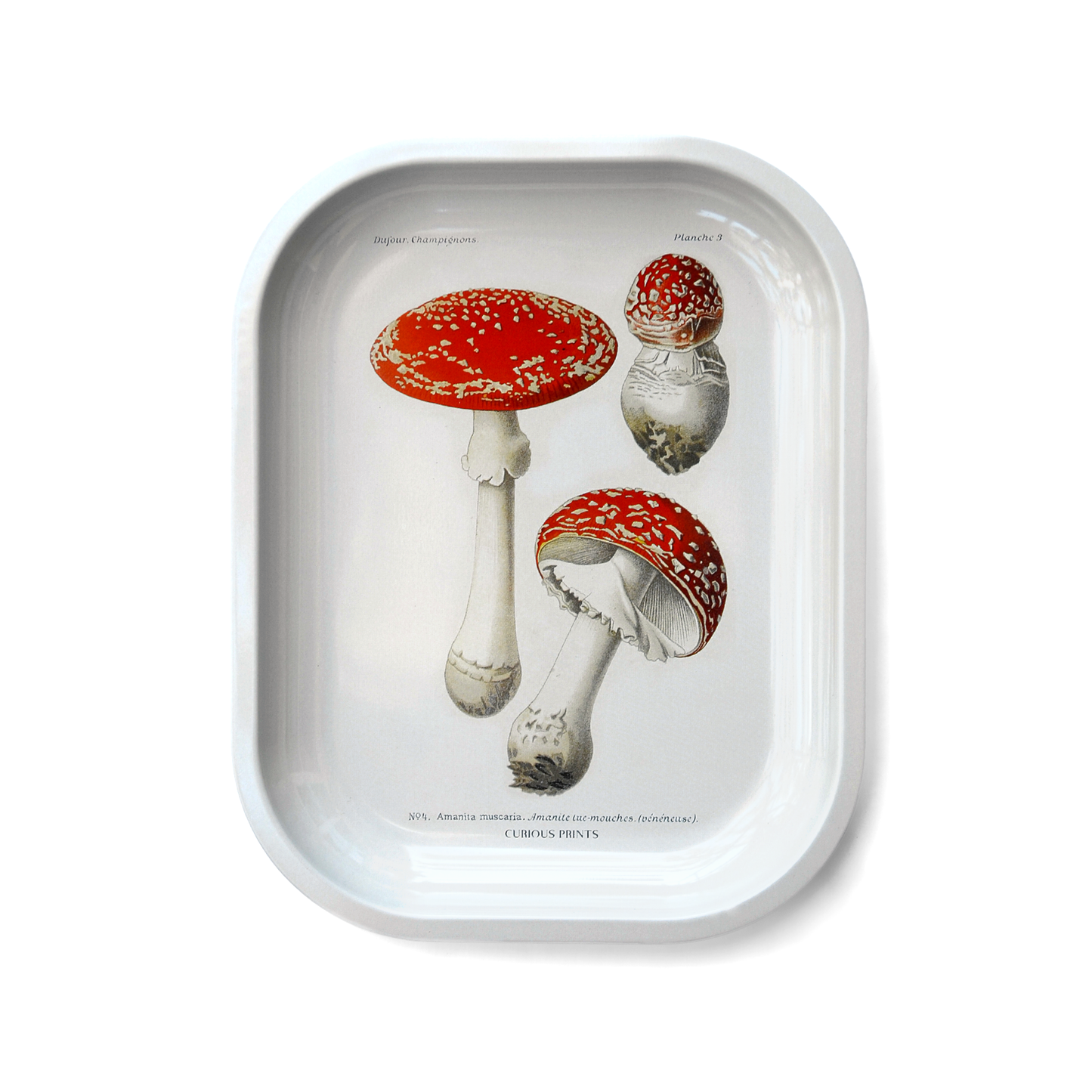 Small Metal Magic Mushroom Catchall Tray