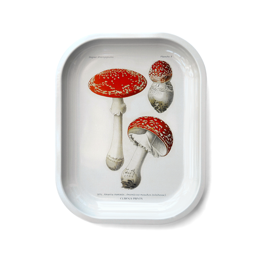 Small Metal Magic Mushroom Catchall Tray