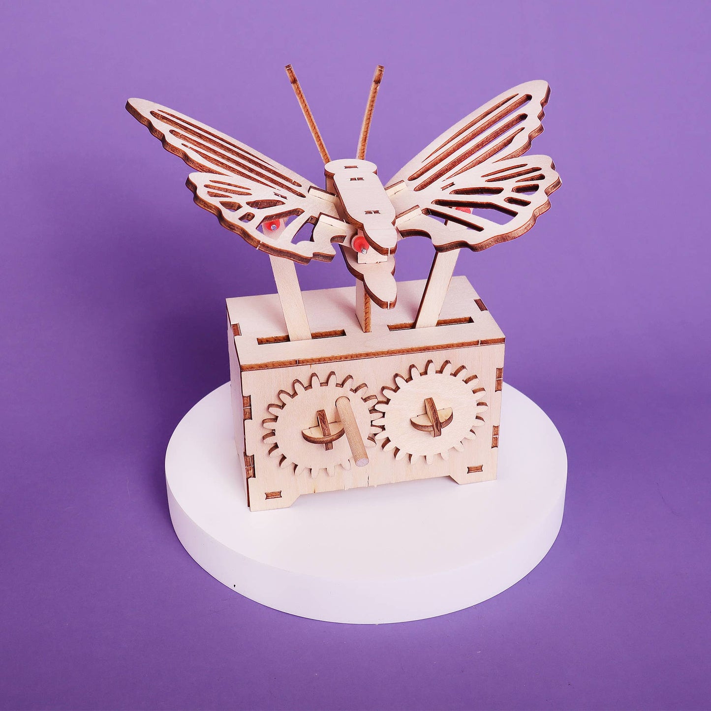 Fluttering Butterfly DIY Kit