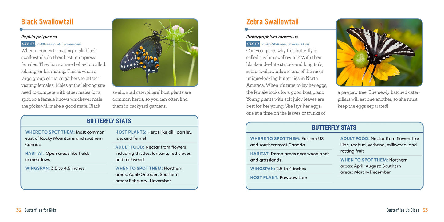 Butterflies for Kids