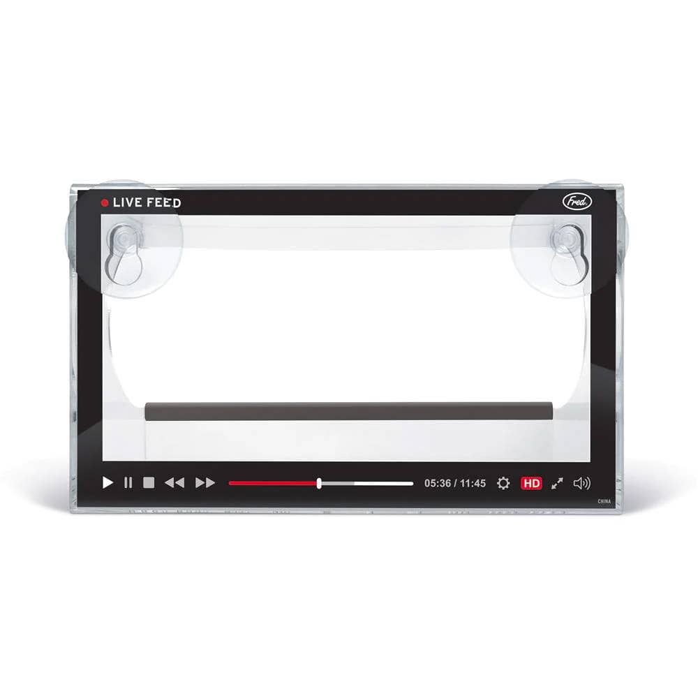 Live Feed Bird Feeder