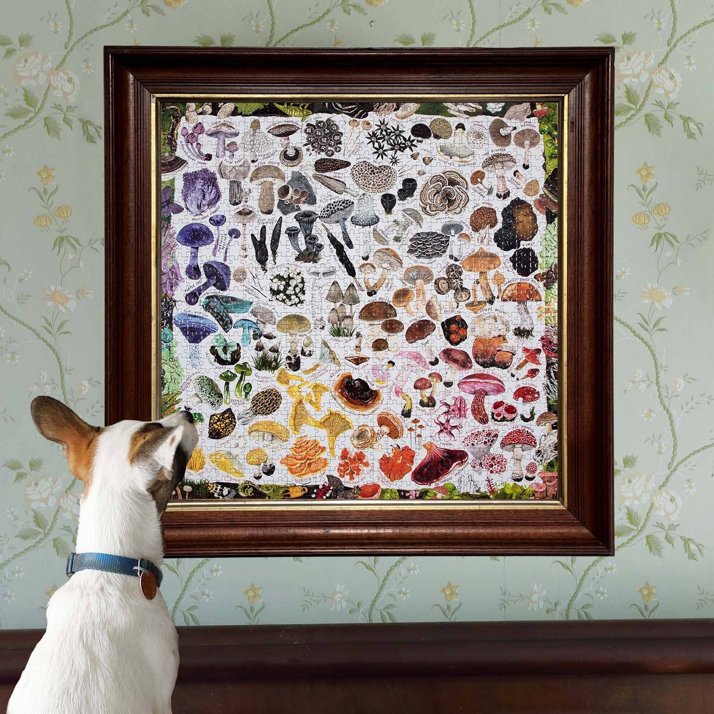 Mushroom Rainbow 1000 Piece Puzzle