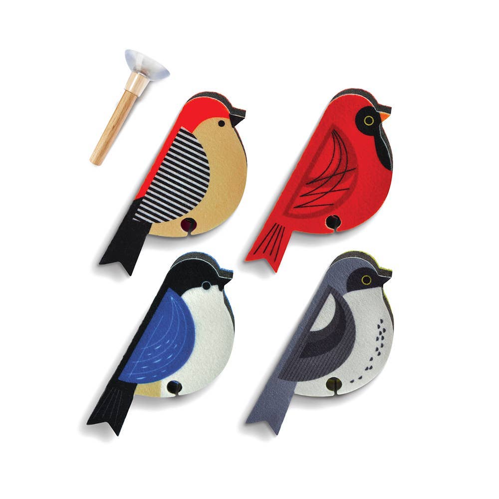 Perched- Set of 4 Bird Sponges