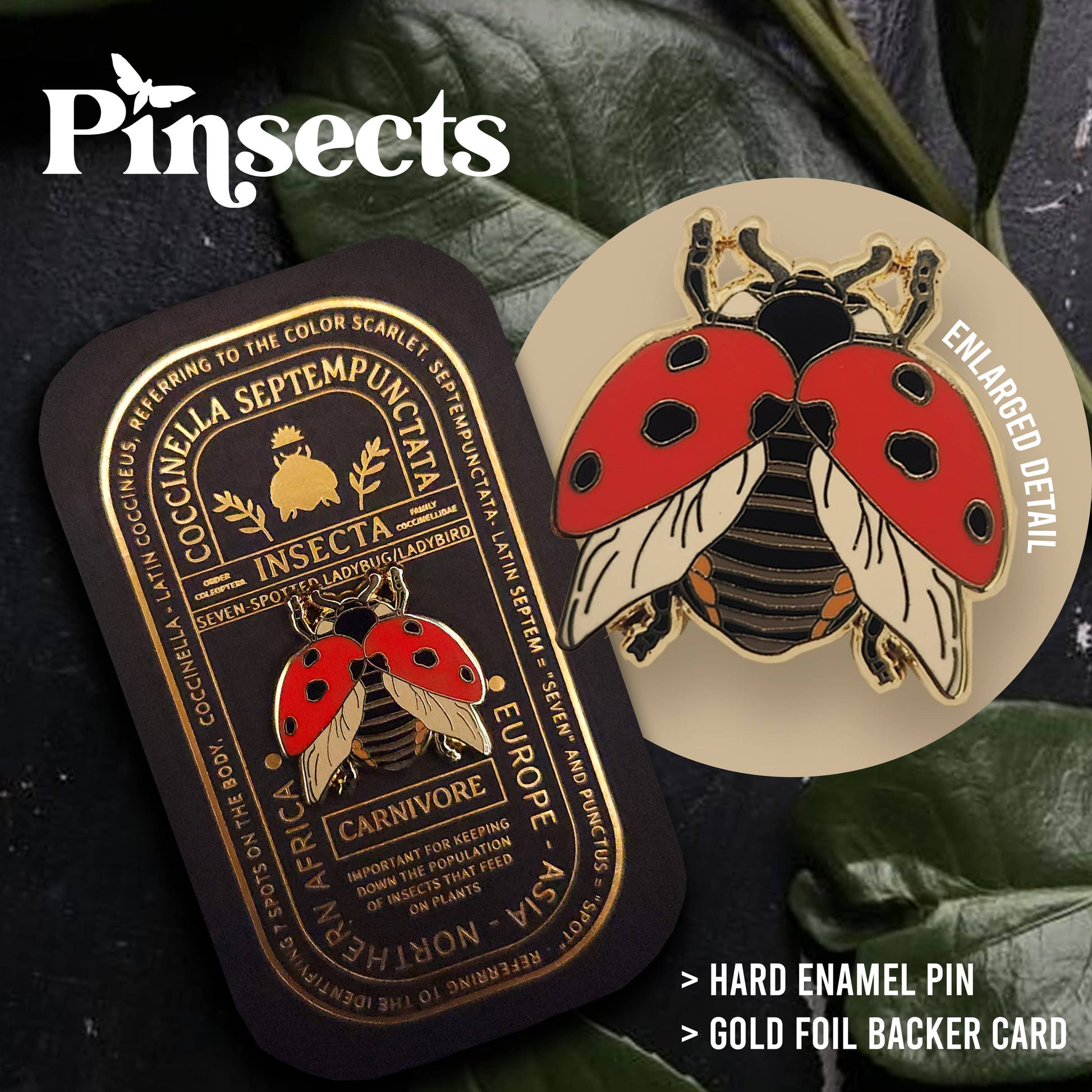 The Seven-Spotted Ladybug Educational Insect Enamel Pin, crafted in hard enamel with striking black spots, is presented on a gold foil card and shown beside its decorative packaging. Perfect as a good luck accessory, this delightful ladybug pin displays the text: Pinsects, Enlarged Detail, and highlights key features.