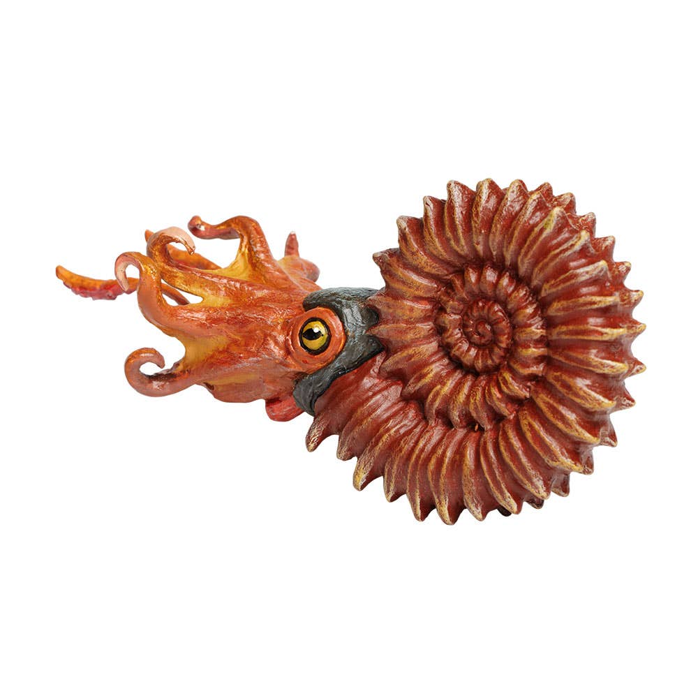 The Ammonite Figurine is a detailed model of an extinct ammonite, featuring a spiral, ridged shell reminiscent of an authentic fossil and vibrant orange tentacles emerging from the shell's opening.