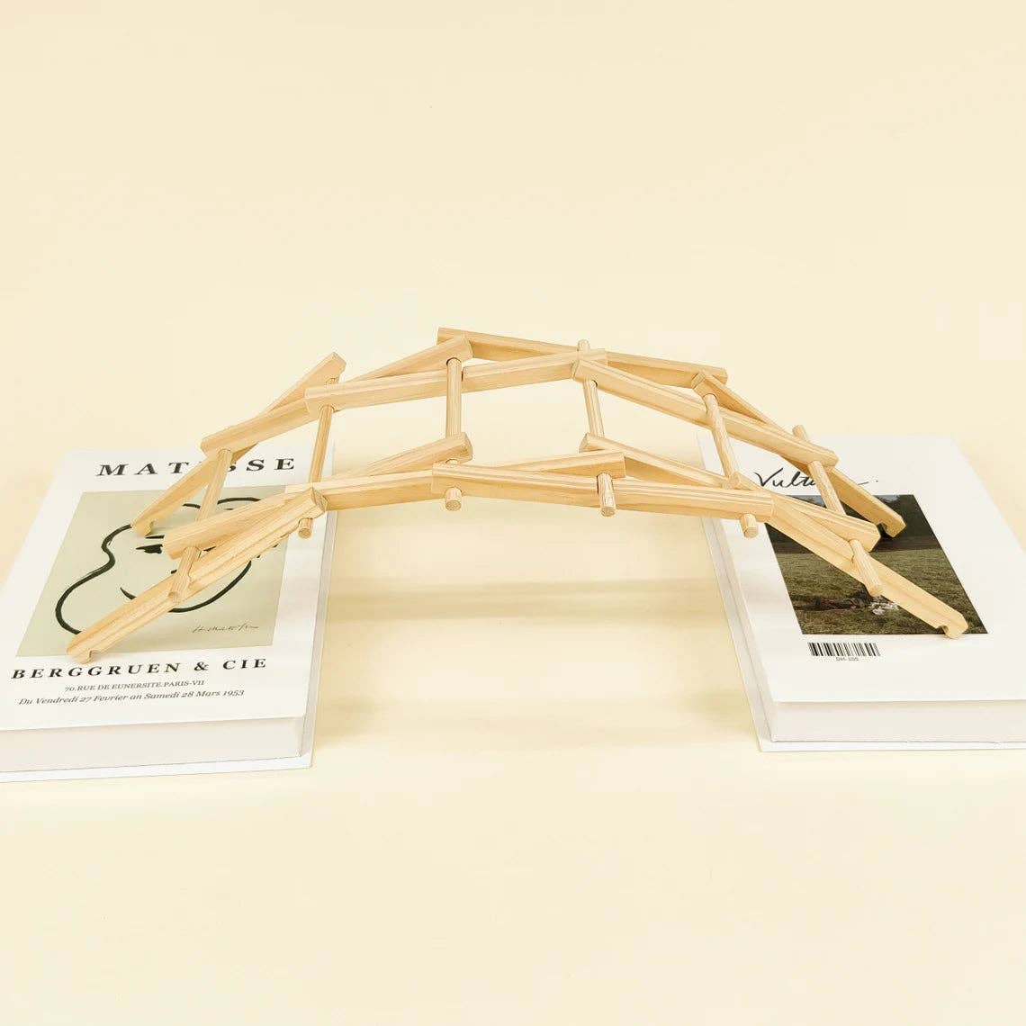 Da Vinci's Bridge DIY Kit, STEM Toy for Kids, Craft Kit