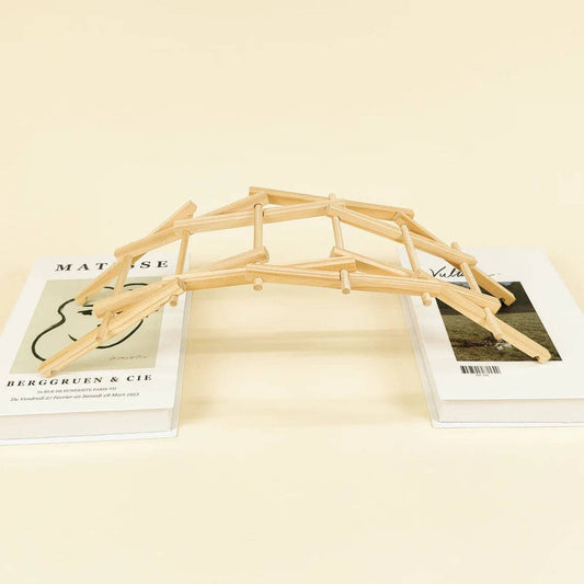 Da Vinci's Bridge DIY Kit, STEM Toy for Kids, Craft Kit