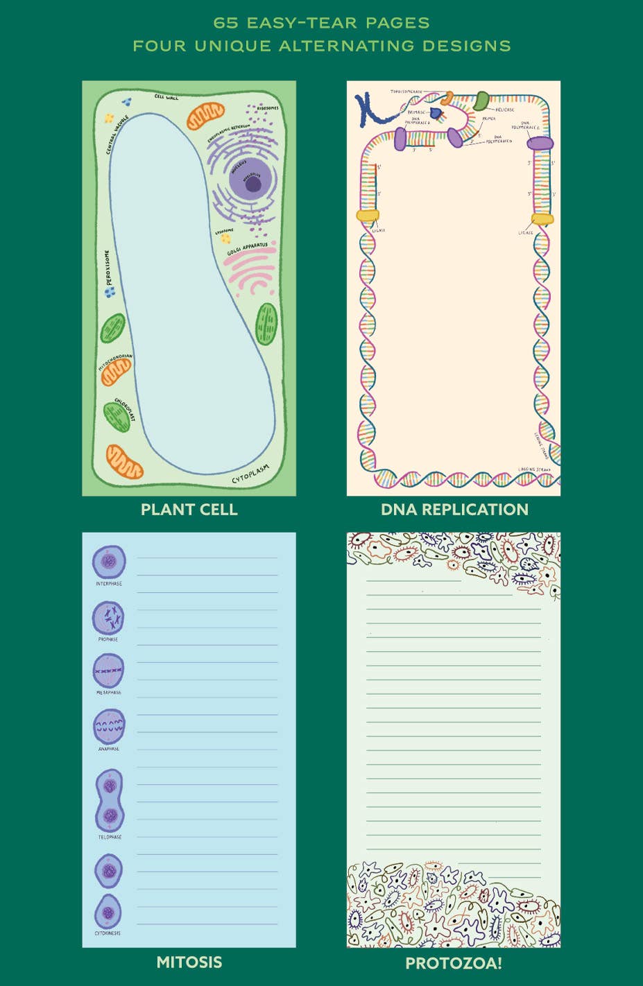The Microbiology Notepad features 65 easy-tear pages with four illustrated designs: a plant cell, DNA replication, mitosis with lined space, and lined pages bordered by small creatures—each page highlighting microbiology themes.
