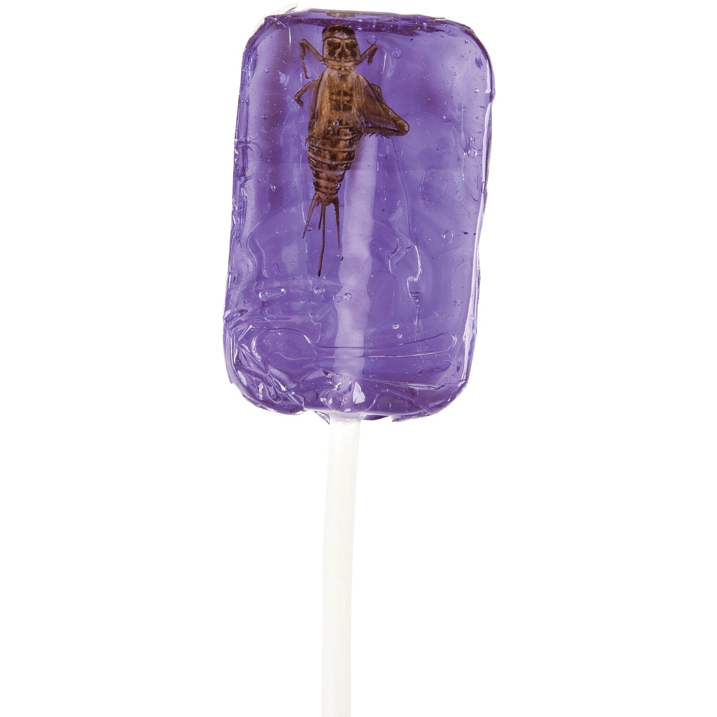 Hotlix Cricket Suckers