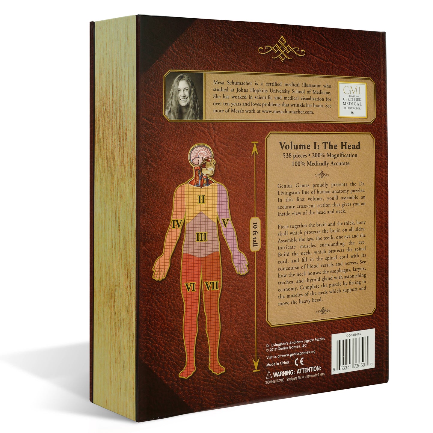 Dr. Livingston's Anatomy Jigsaw Puzzle: The Human Head