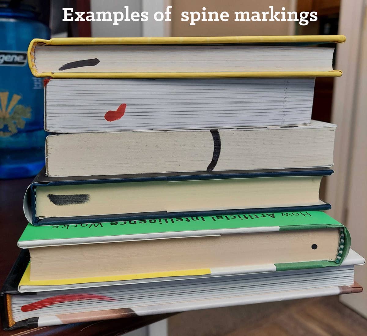 A stack of five "Nature Coloring" books with colorful, patterned spines—showcasing lines, shapes, and natural motifs—is displayed. At the top is the text: Examples of spine markings. A blue water bottle appears in the background.
