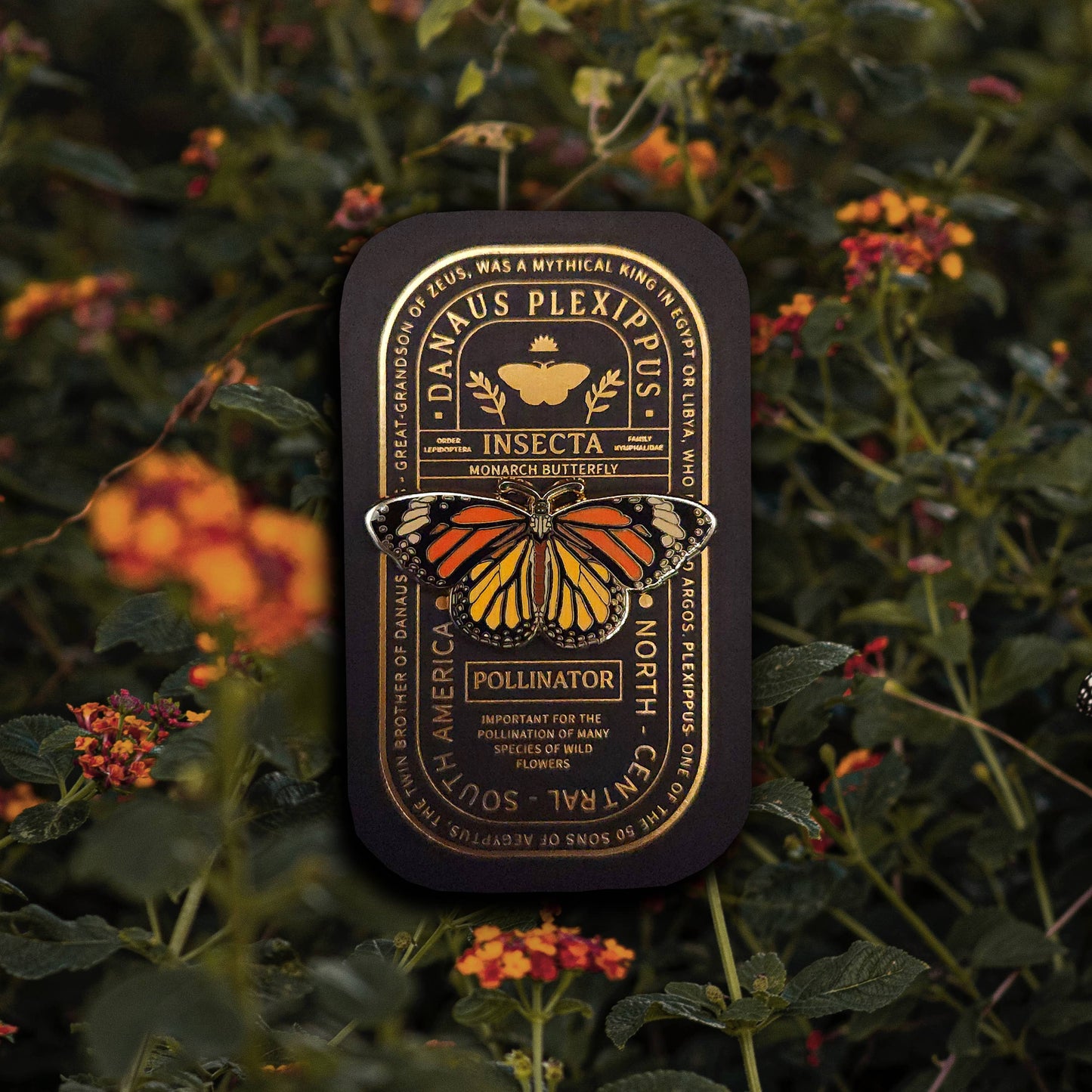 A rectangular tin labeled “Monarch Butterfly Educational Insect Enamel Pin” rests among green foliage and orange flowers, featuring a realistic Monarch Butterfly enamel pin illustration that seamlessly blends into the tin’s design.