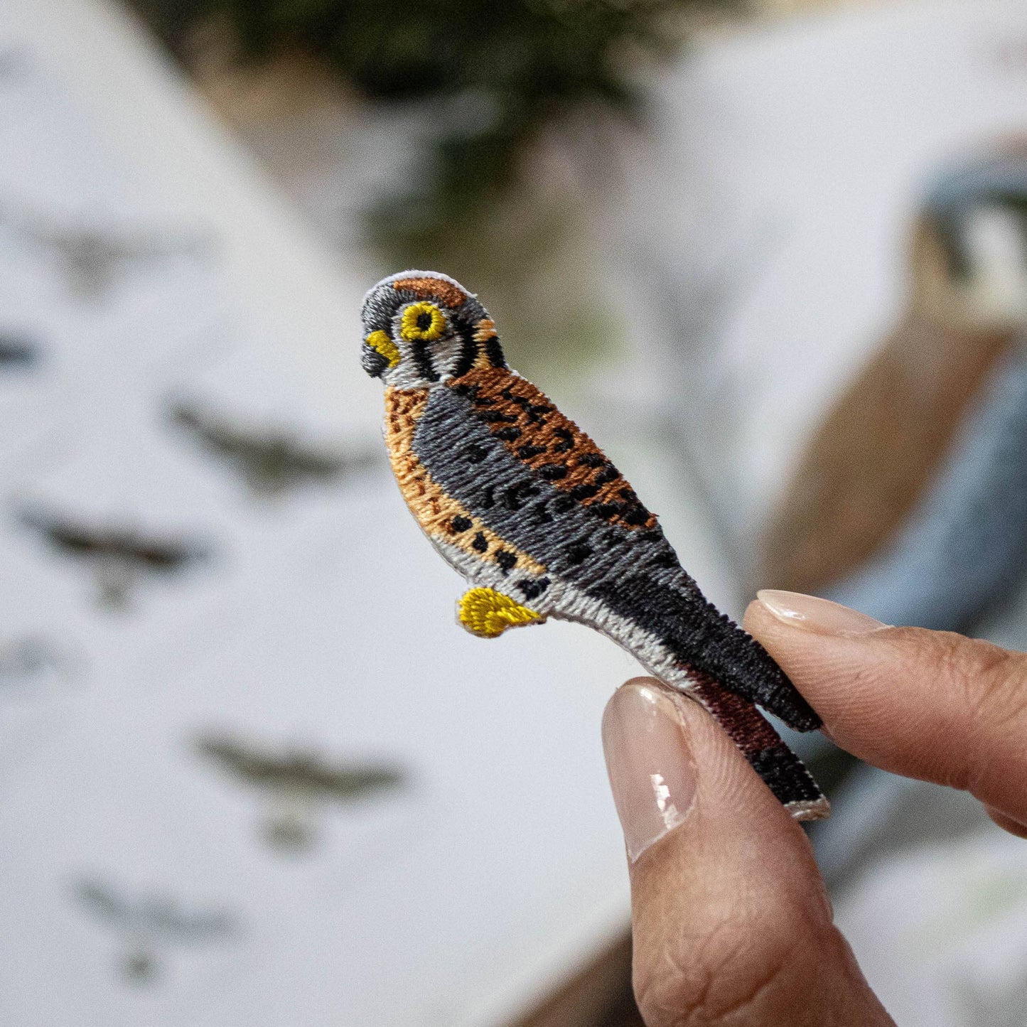 American Kestrel Patch