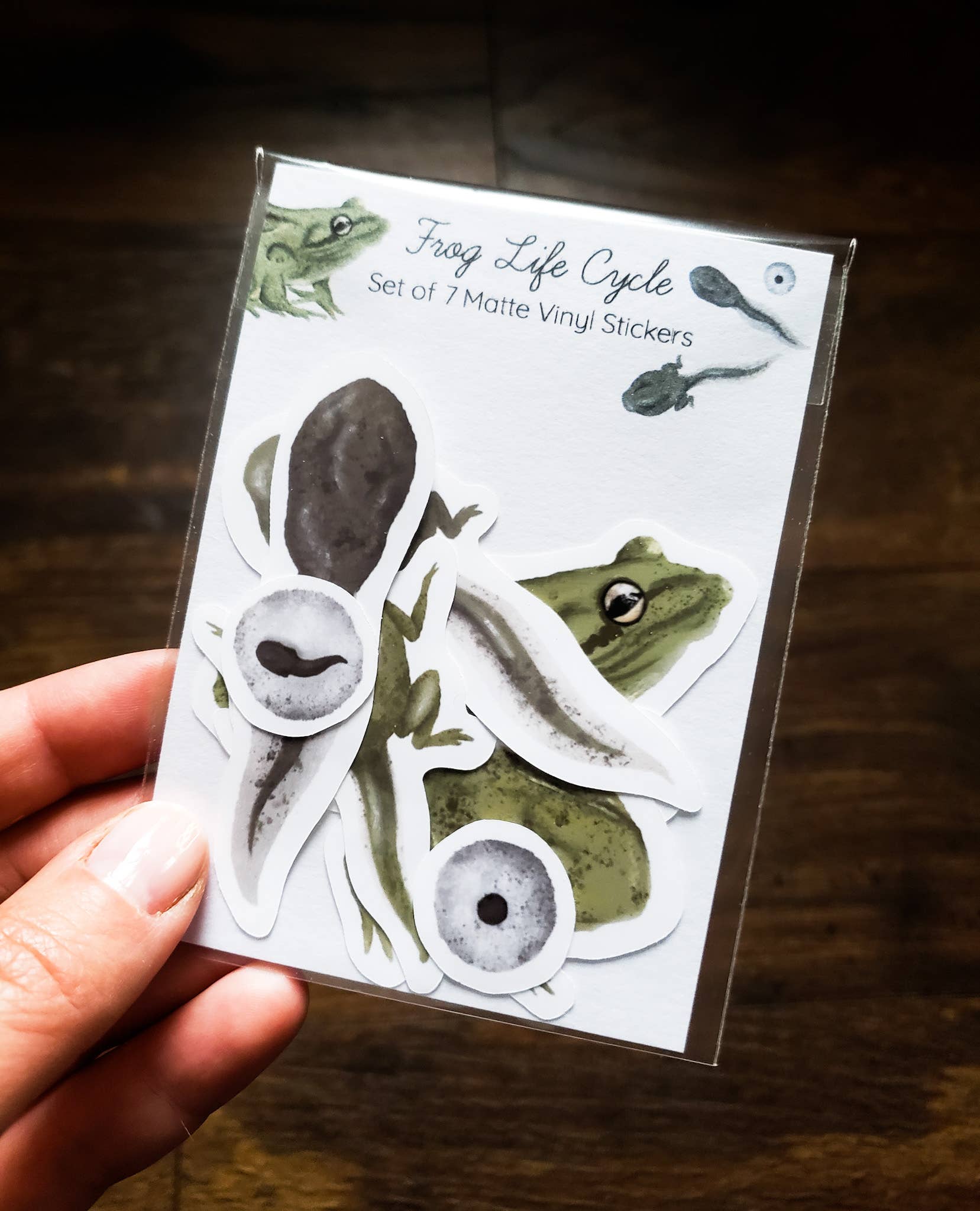 Pack of frog lifecycle stickers.