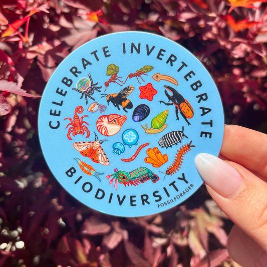 Celebrate Invertebrate Biodiversity Sticker