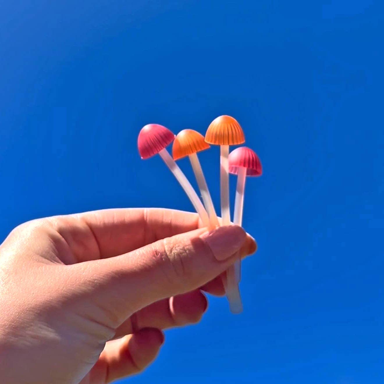 Hand holding 4 Magic Sprout mushroom bookmarks