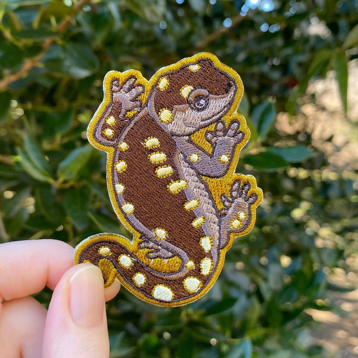 Yellow-Spotted Salamander Iron-On Embroidered Patch held in front of green leaves.
